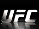 Logo-the-ultimate-fighting-championship-250777_800_600.jpg