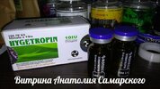 НордХай для форумов 29.03.jpg