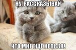 b85c76a8bc18.jpg