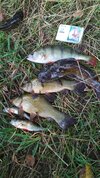 IMG_20190720_105050.jpg