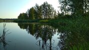 IMG_20190720_061422.jpg