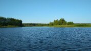 IMG_20190720_073403.jpg