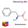 L-Phenylalanine-genetrip.gif