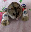 IMG_20191201_115425__01.jpg