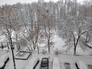20191203_082312_HDR.jpg