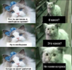 upload_2020-3-5_21-41-20.png