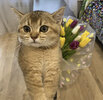 89AED637-552D-49B7-BF92-1344EDD776EF.jpeg