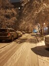 IMG_5296.JPG