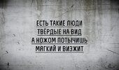PtrKuzlTed4.jpg