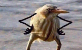 1587123534344.png