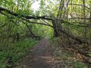 20200505_063454.jpg