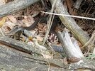 20200501_143544.jpg