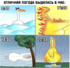 1589867772491.png