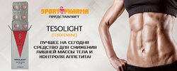 tesolight banner.jpg