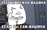 19,557441782da8e6.jpg