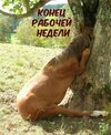 23-08-44-whatsapp-image-2020-08-14-at-14.53.10-2.jpeg