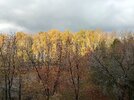 20201103_141457_HDR.jpg