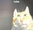 F43B8E92-B575-4CAC-BB9F-A6572DB5A10F.jpeg