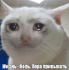 1614001032441.png