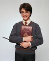 harry-potter-philosophers-stone-portrait-6.jpg