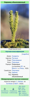1643782289301.png