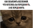 1644994538652.png