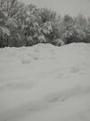 IMG_20220305_073641.jpg