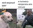 1648228587732.png