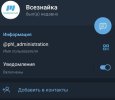 fake31.jpg