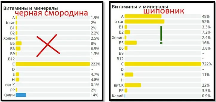 шиповник против черной смородины