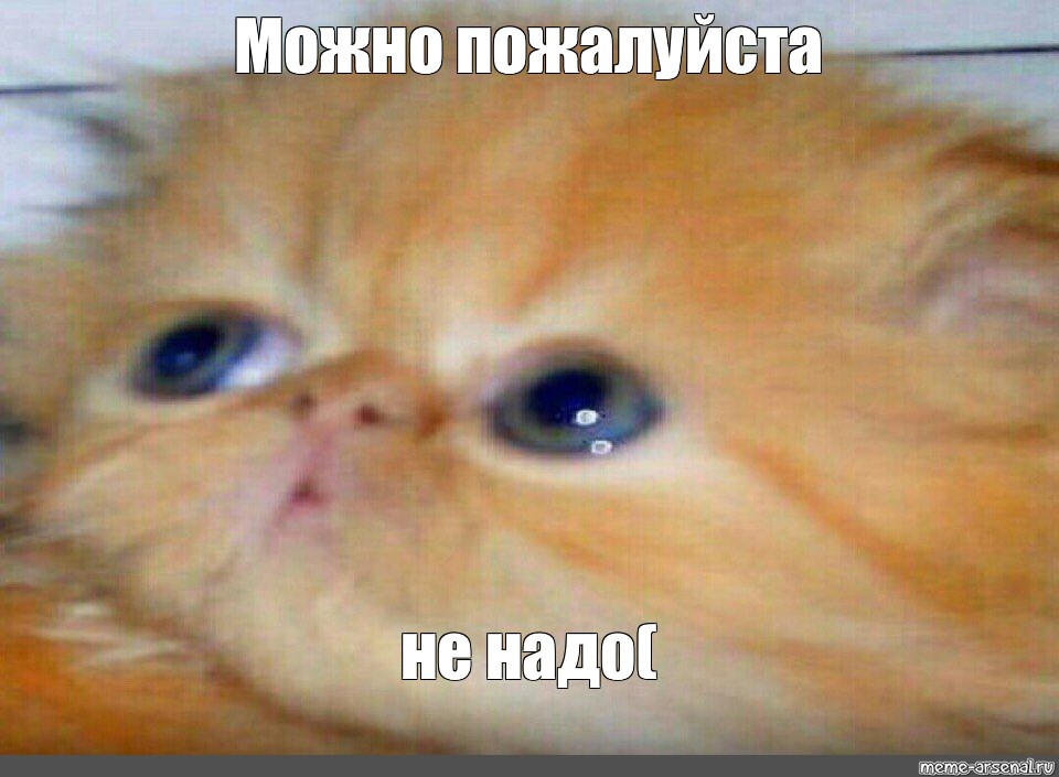 dba749ea180cb81ad084633db4f3eee7.jpg