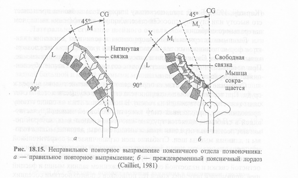 о прямой спине 3.jpg