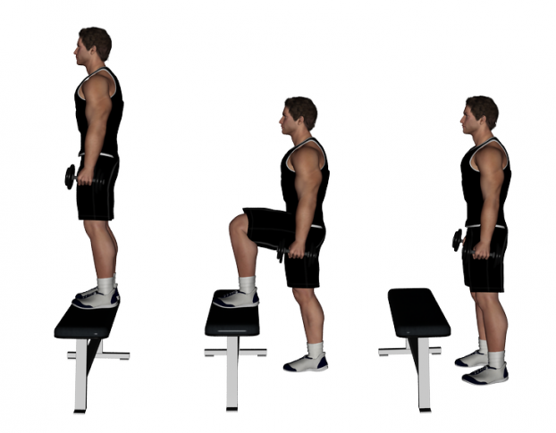 Dumbbell-Standing-Step-Up-622x485.png